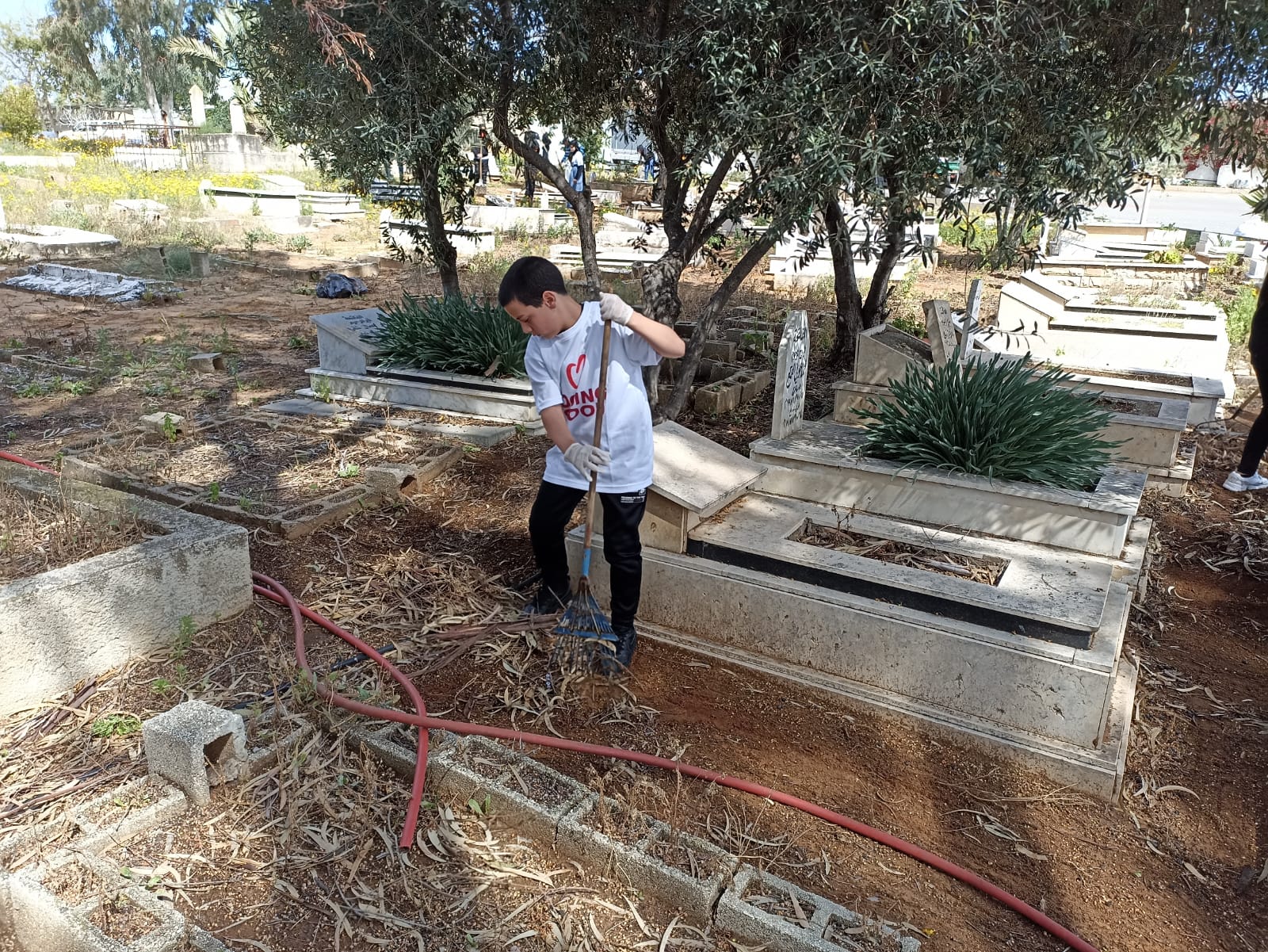 طلاب مدرسة يافا المستقبل في حملة لتنظيف مقبرة طاسو
