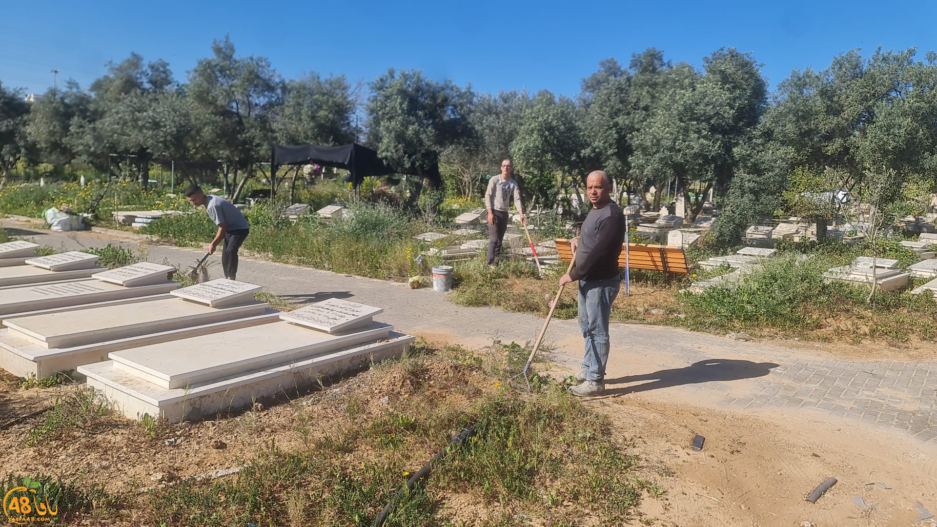 مبادرة لتنظيف مقبرة طاسو في مدينة يافا 