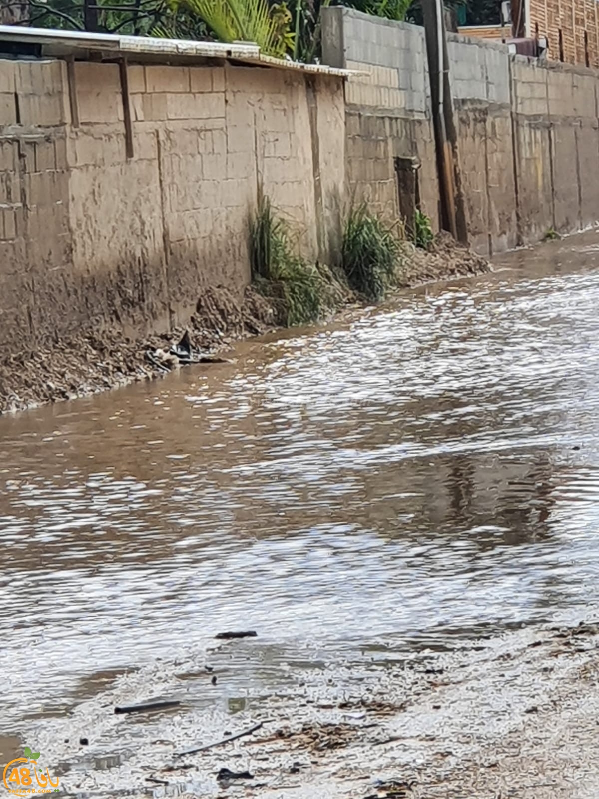 معاناة مستمرة - دهمش تُحاصر بمياه الأمطار وتغرق في اهمال المؤسسات