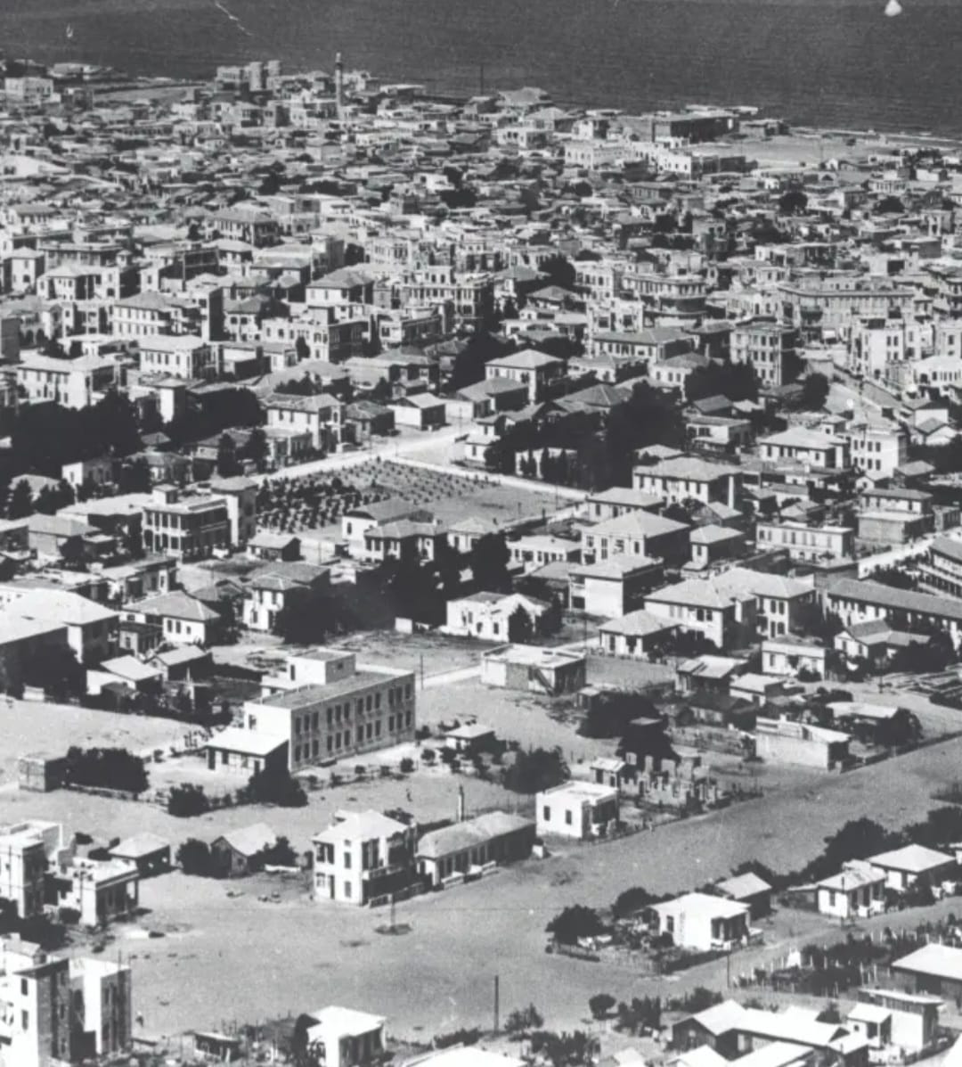 صورة نادرة لحي المنشية في يافا تعود إلى عام 1929.