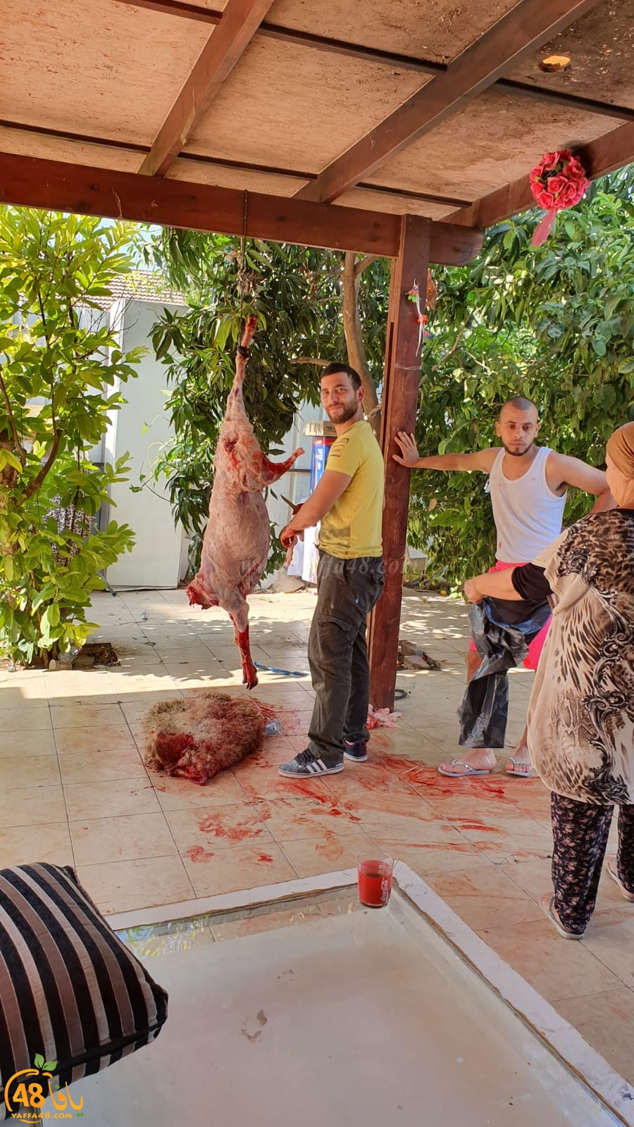 بالصور: أجواء عيد الأضحى المبارك وذبح الأضاحي في اللد والرملة 