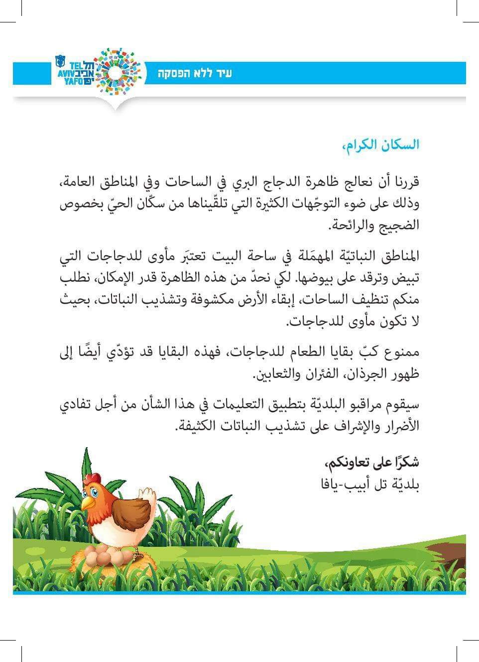 يافا: البلدية تعثر على عدوها الجديد وتقرر محاربة الدجاج والديوك بالمدينة