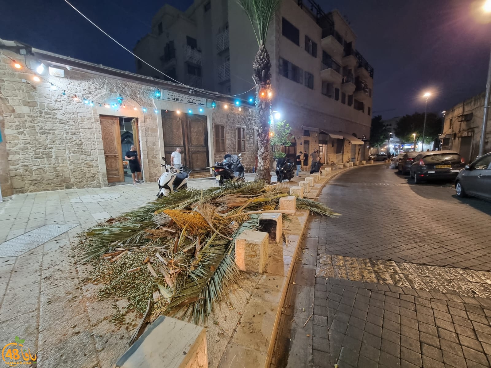 يافا: بعد تقليمها - القاء بقايا غصون الأشجار أمام بوابة مسجد السكسك