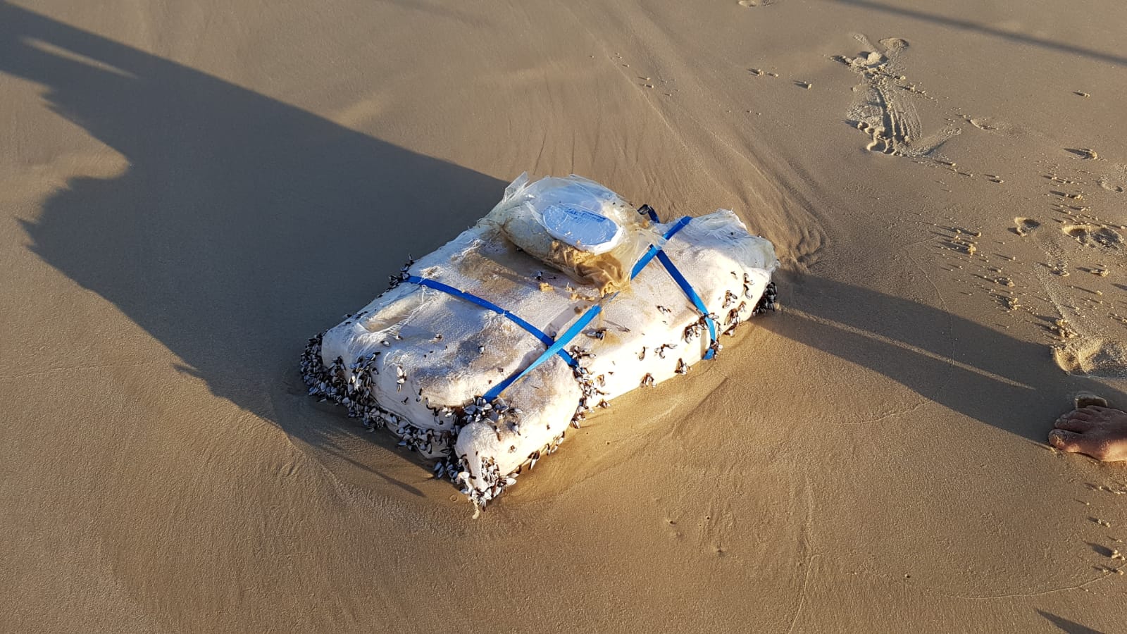 ضبط كيس يحتوي على أكثر من 20 كيلوغراما من السموم على شاطئ بحر اشدود