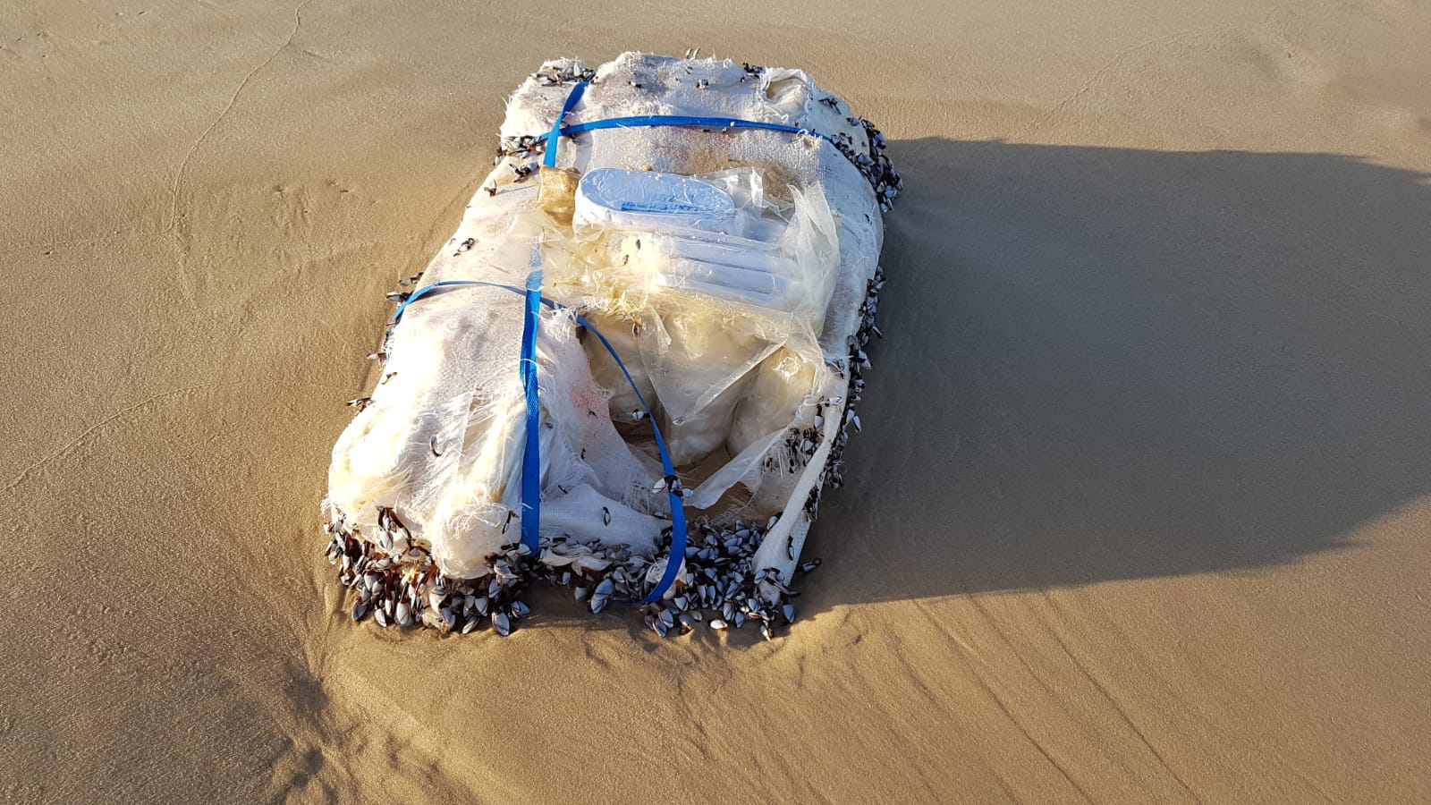 ضبط كيس يحتوي على أكثر من 20 كيلوغراما من السموم على شاطئ بحر اشدود