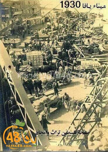 ايام نكبة |باقة من الصور النادرة لمدينة يافا قبل عام النكبة