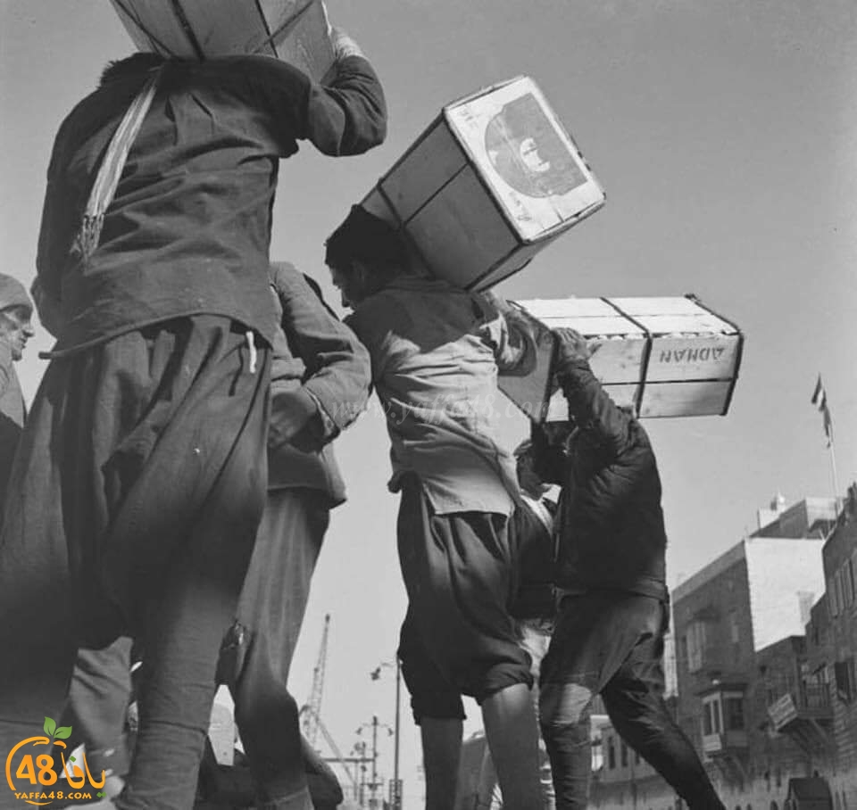  صور نادرة من ميناء يافا لنقل صناديق البرتقال بالقوارب عام 1945 