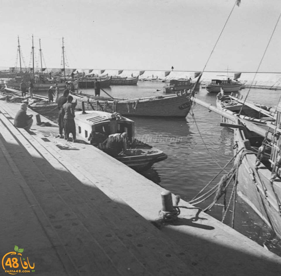  صور نادرة من ميناء يافا لنقل صناديق البرتقال بالقوارب عام 1945 
