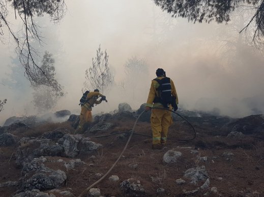 حريق هائل بين الناصرة واكسال وطواقم الإطفاء تعمل على اخماده 