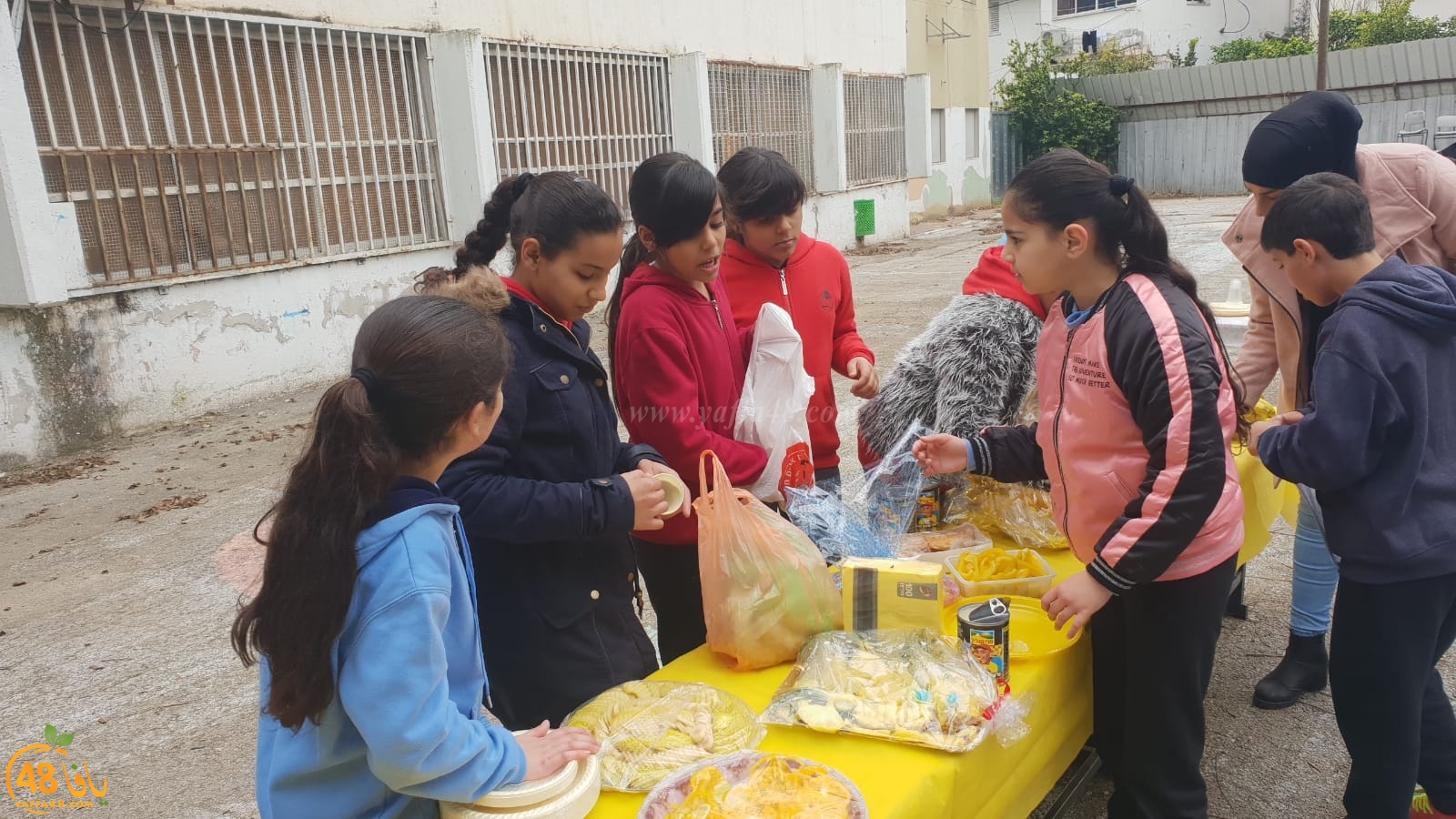 فيديو: فعاليات التغذية السليمة في مدرسة الراشدية بمدينة اللد
