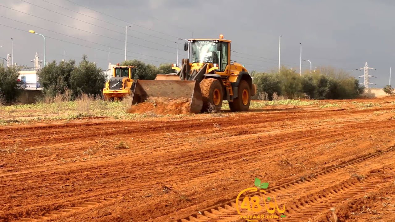 مُلخص معسكر "يافا أقوى من هدمكم" لترميم وصيانة مقابر يافا