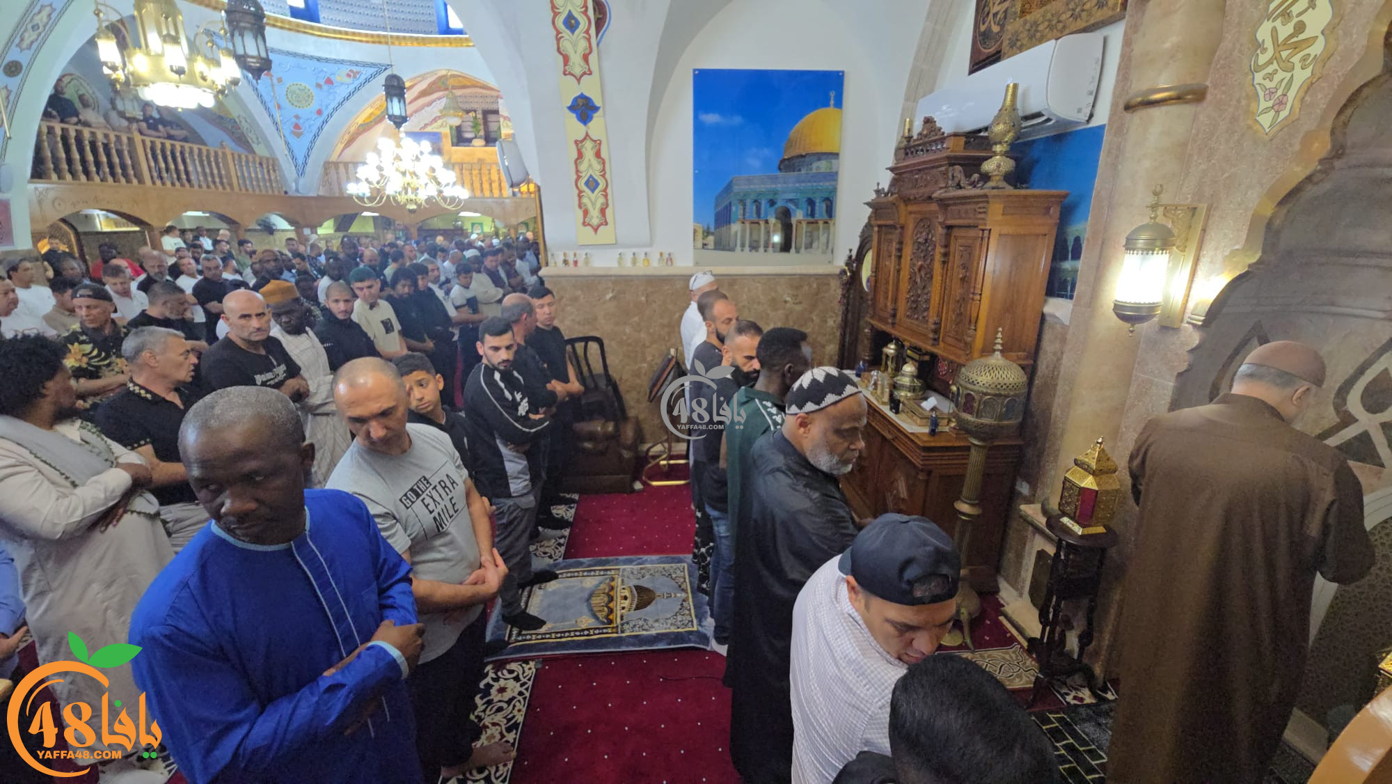 qasVqsvKwioIQpb2t8PIla1ZrsvYUhtkzBRuM6Aa.jpg