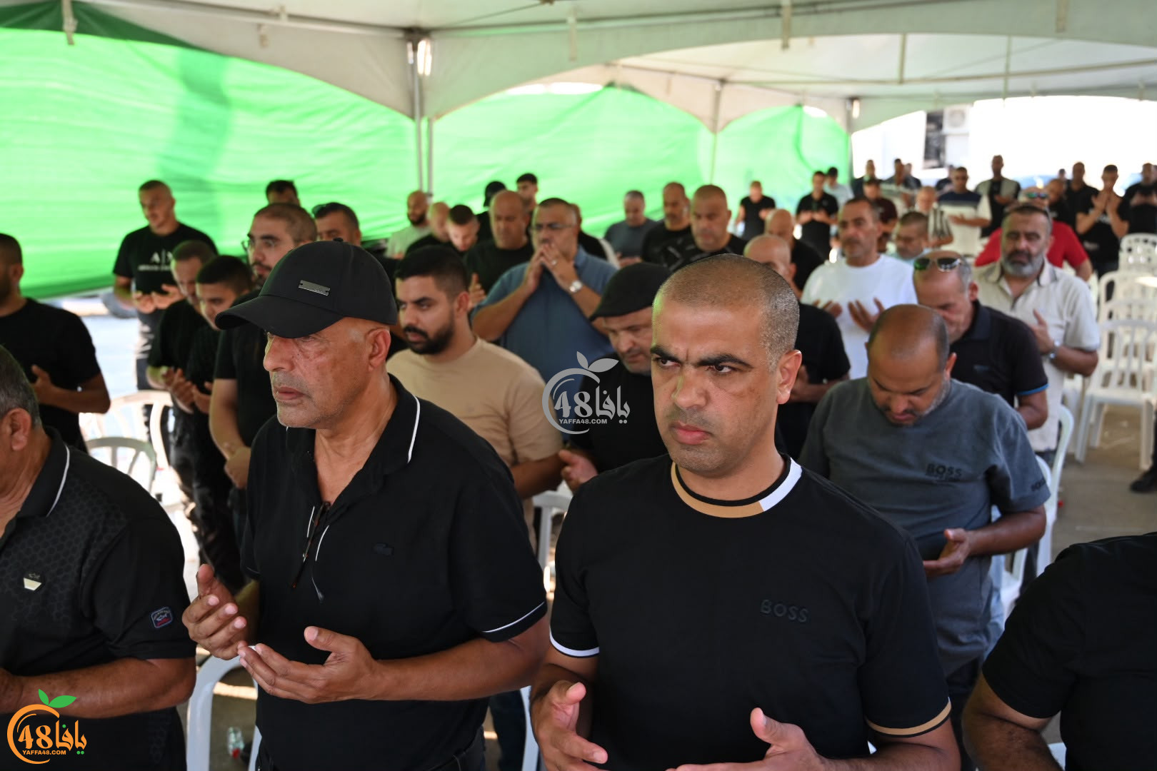rf5OZbsmzayr2nyRlXWI37eeLfoE7mk38Jil87y2.jpg