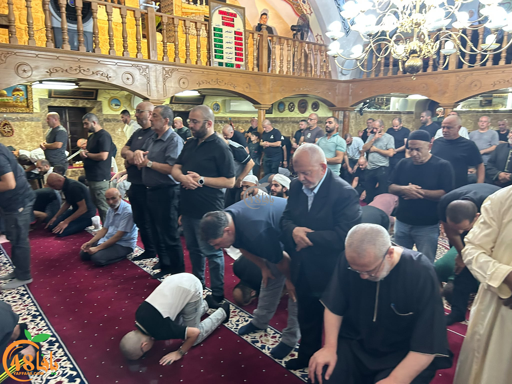 DaVgDHQVtCy1fogb0zRJRS8kGKTbBjSrWQ7Dqsrb.jpg
