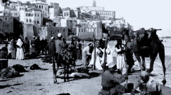  فيديو نادر لقوافل الابل في مدينة يافا عام 1935 