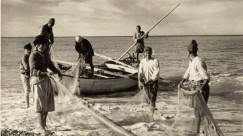 مشهد من الماضي - حياة الصيادين وعملهم في ميناء يافا قبل عام النكبة 1948