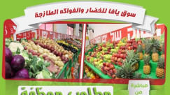 يافا: مطلوب عاملتين للعمل في سوق يافا للخضار والفواكه الطازجة