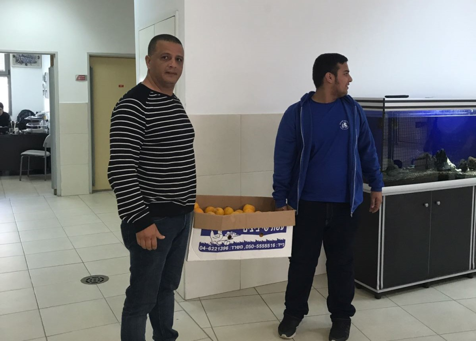 صور: طلاب اجيال الثانوية يقطفون ثمار الحمضيات من حديقة المدرسة 