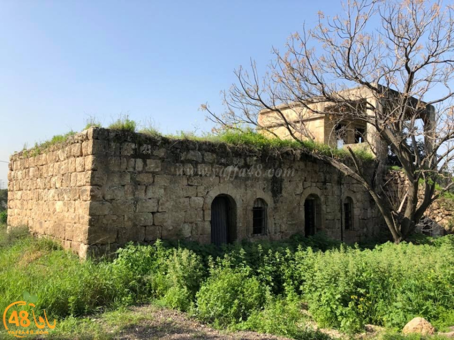  أيام نكبة - تعرّف على قرية دانيال المهجرّة قضاء الرملة .. صور