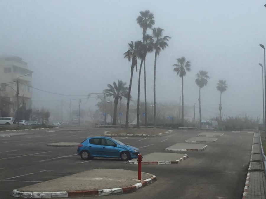 بالصور: الضباب يلف يافا وتل ابيب ويغلق مطار "دوف"