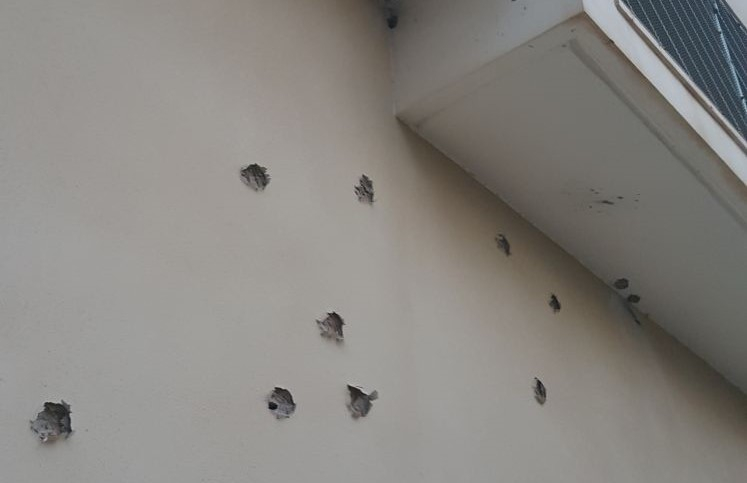 صور: مجهولون يطلقون النار على بلدية رهط