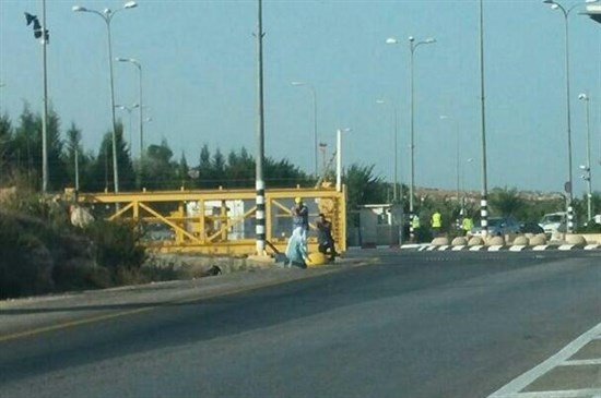 إصابة طالبة فلسطينية بذريعة محاولة الطعن في قلقيلية