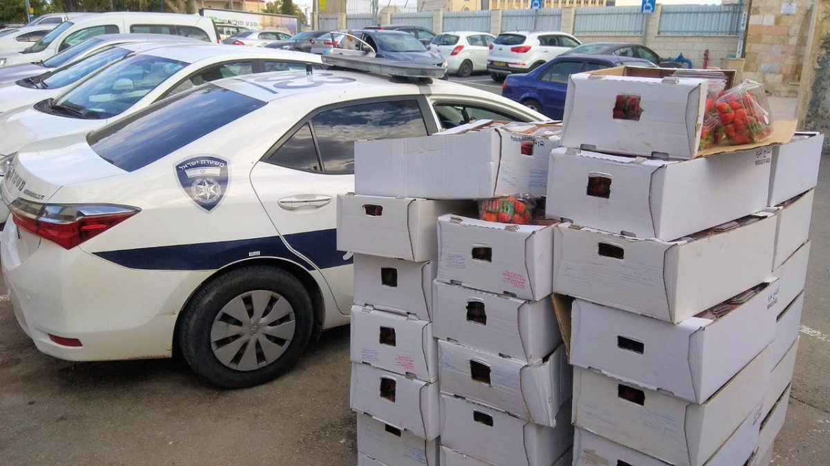  الرملة: ضبط أكثر من "طن" فراولة مهرّبة من غزة واعتقال مشتبهين