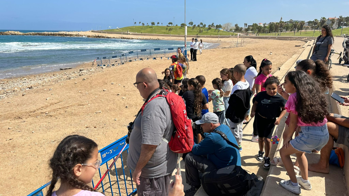  لليوم الثالث: الفقمة "يوليا" تجذب اليها السياح والمهتمين وهواة التصوير 