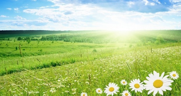 حالة الطقس: إنخفاض طفيف على درجات الحرارة اليوم