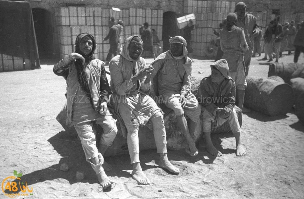 عمرها أكثر من 80 عاماً ... شاهد : صور نادرة لميناء يافا التاريخي