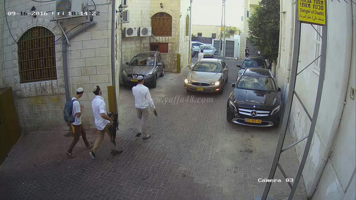  بالفيديو: المستوطنون في حي تلة العرقتنجي بيافا يحولون حياة المواطنين إلى قلق وتوتر 