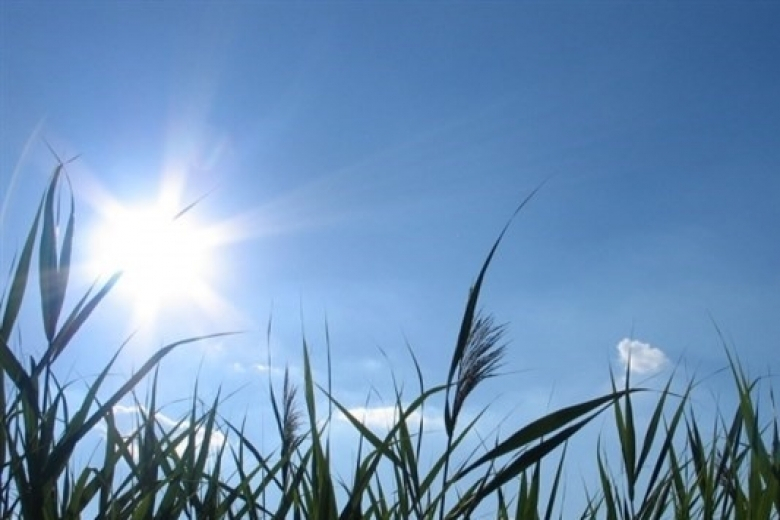 الطقس: انخفاض على درجات الحرارة