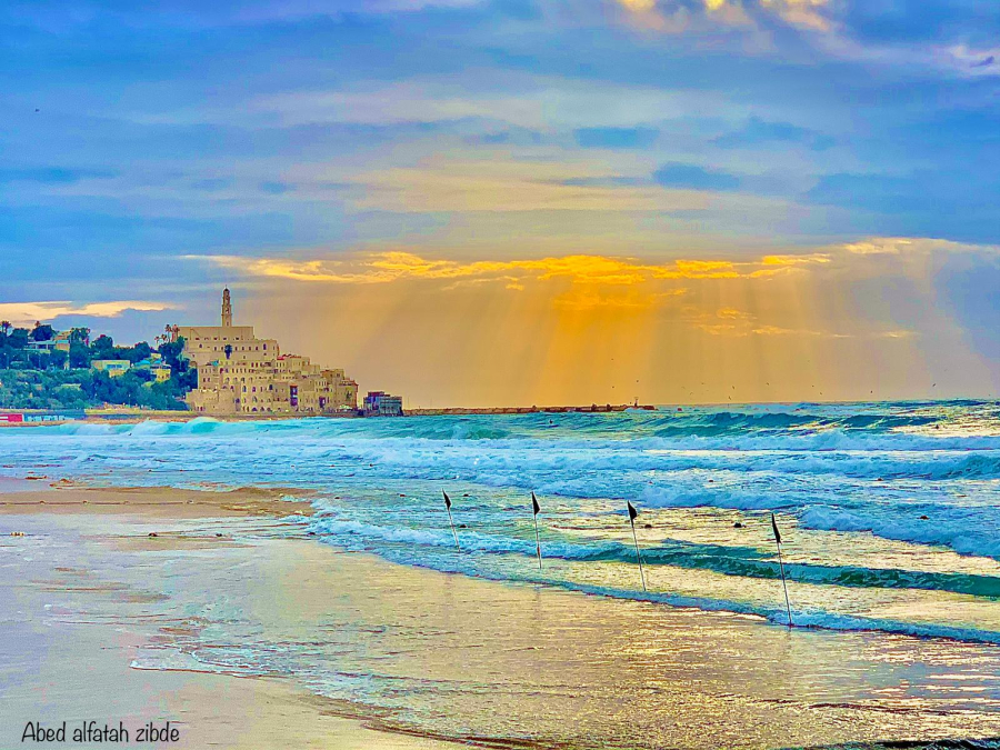 استمع - "هذا خلق الله" بصوت الشاب اليافاوي المبدع عبد الفتاح زبدة