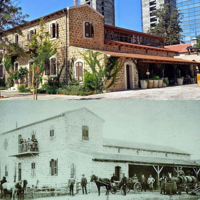 تعرف على قرية "سارونة" المهجرة قضاء مدينة يافا 