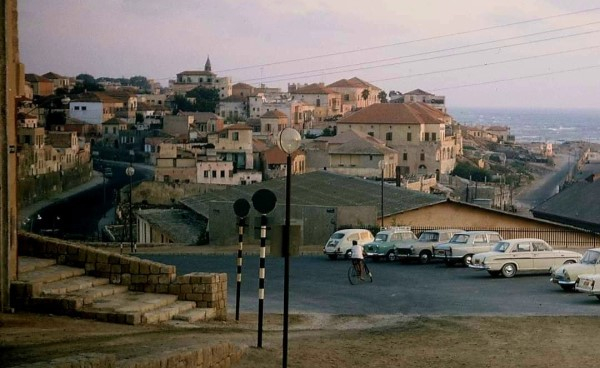 أيام نكبة| صورة نادرة لسكنة الشيخ إبراهيم شمال حي العجمي عام 1960 