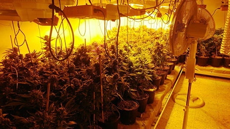 الكشف عن مختبر للمخدرات في تل أبيب واعتقال مشتبه