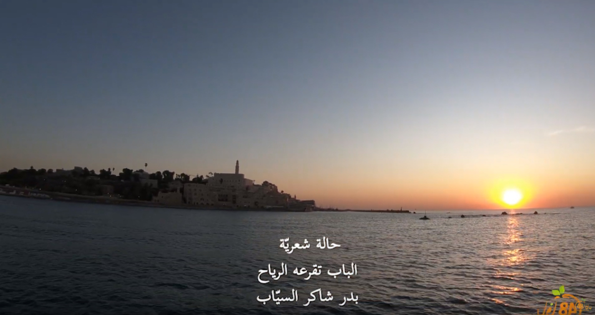  شاهد: حالة شعرية - مشاهد ساحرة من داخل بحر يافا 