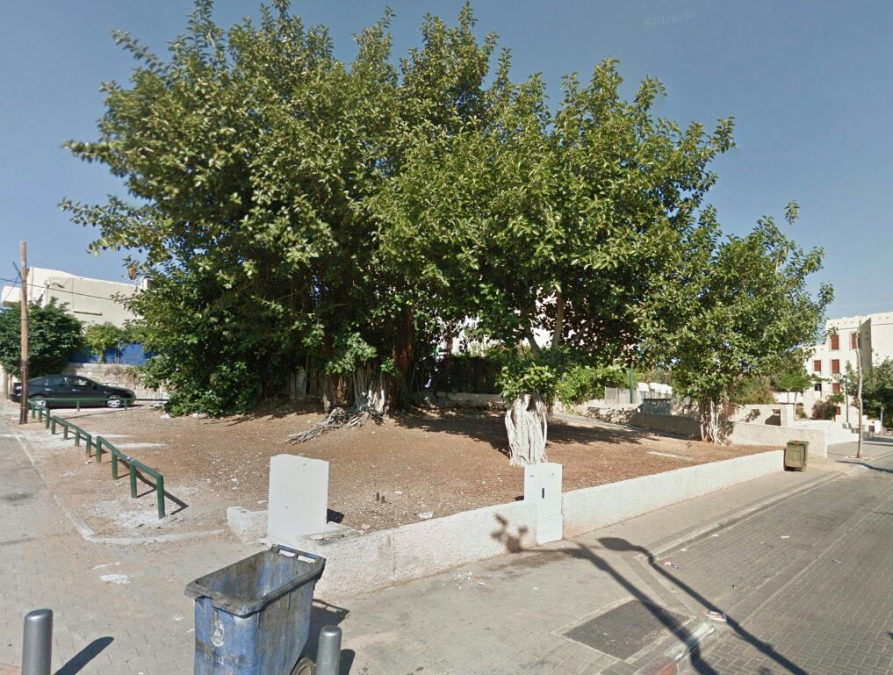  يافا: بيع قطعة أرض في حي الجبلية مساحتها نحو 500 متراً بـ8.5 مليون شيكل