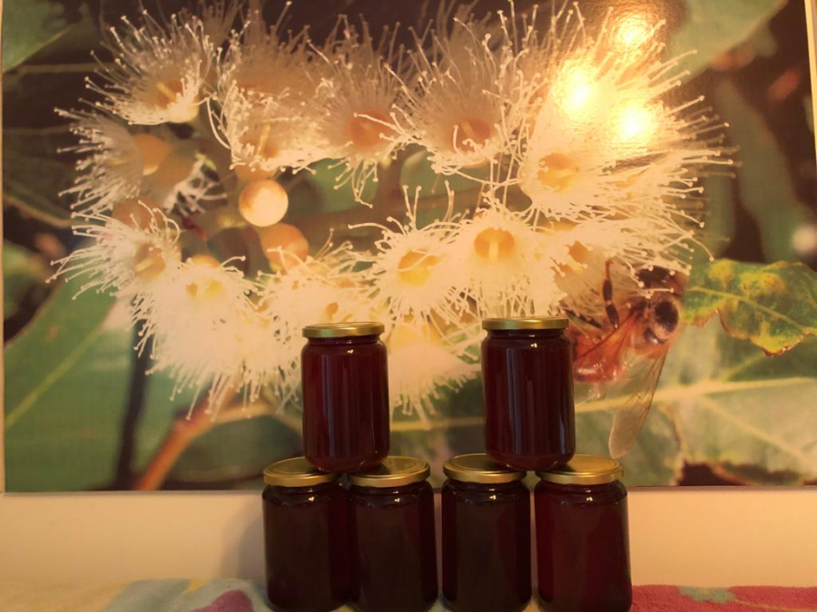  عسل نحل صافي في يافا للبيع بالجملة - الكيلو فقط بـ60 شيكل