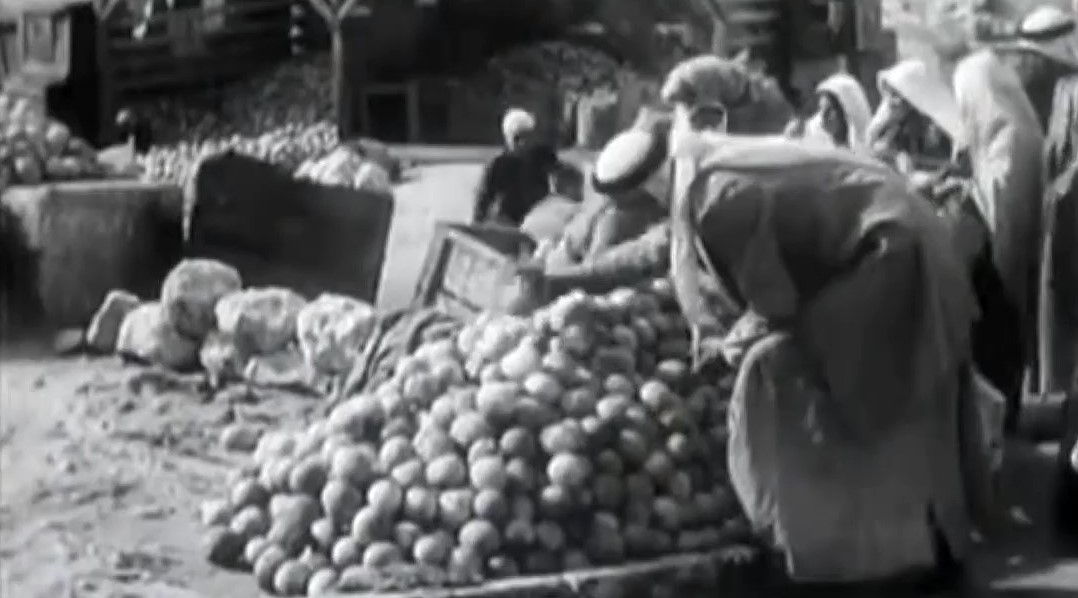 فيديو نادر: بيع البرتقال اليافاوي في القدس عام 1929