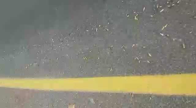  بالفيديو: مواطن من يافا يوثّق سقوط مئات الرصاصات في الشارع شرق المدينة