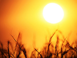 موجة حارة تضرب البلاد في النصف الثاني من الأسبوع الحالي