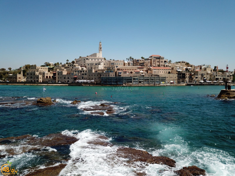   السكوت في معْرِضنا اجرام!!! - بقلم: محمود عبيد