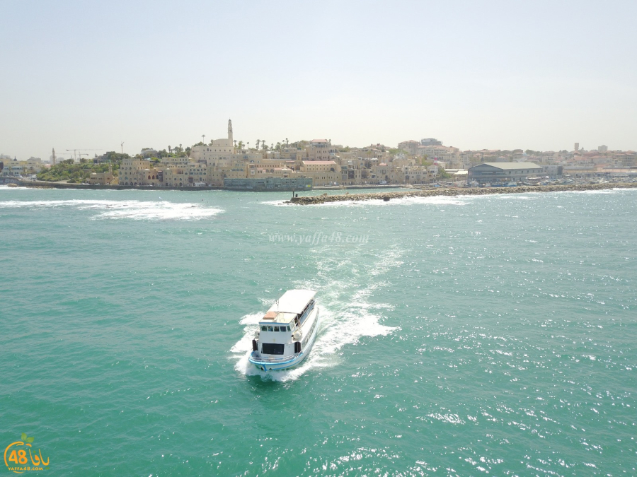 دراسة جديدة: الأسرة المتوسطة تنفق حتى 8,000 شيكل على العطلة في البلاد