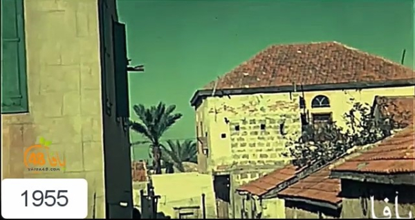 أيام نكبة| فيديو نادر وملون من عام 1955 يُظهر ملامح مدينة يافا بعد النكبة