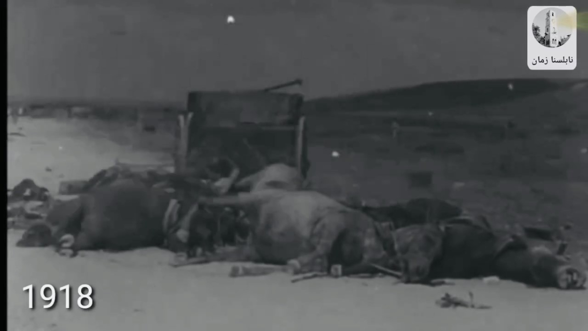 فيديو نادر يوثّق خسائر الجيش العثماني قرب نابلس خلال الح...