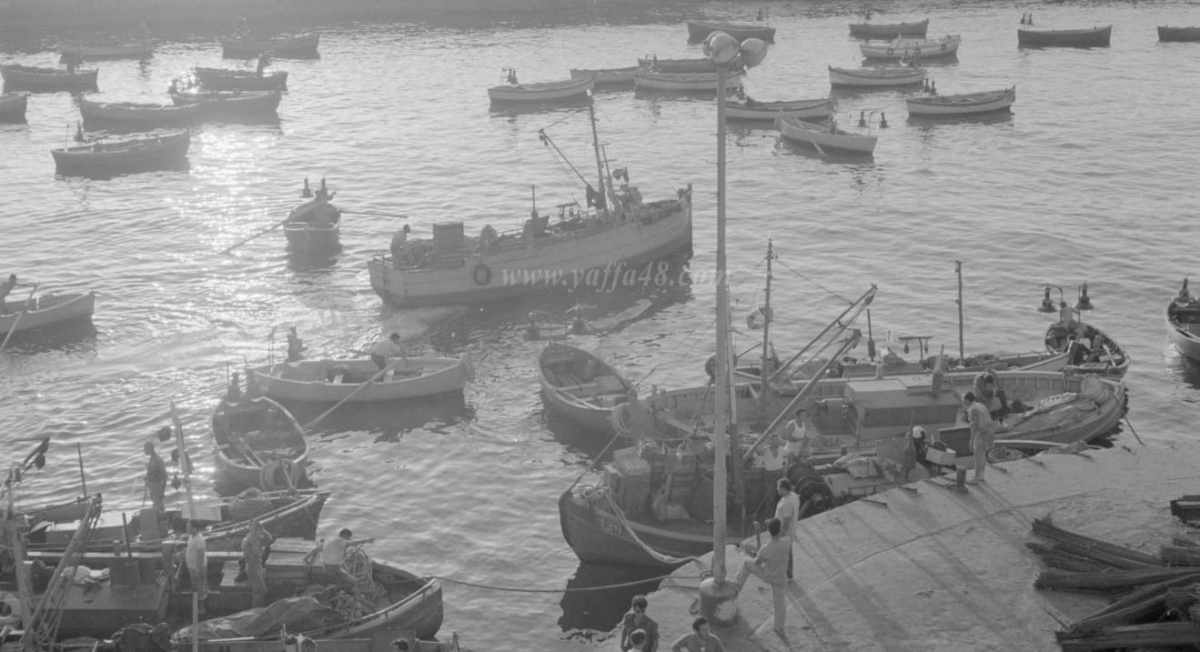 فيديو نادر ليافا قبل عام 1930 يوثّق ميناءها وحياتها القديمة