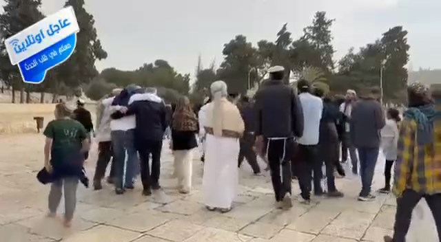 مستوطنون يغنون ويرقصون داخل المسجد الأقصى المبارك في الي...
