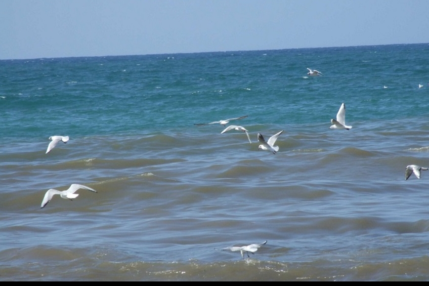 حالة الطقس الأسبوع القادم