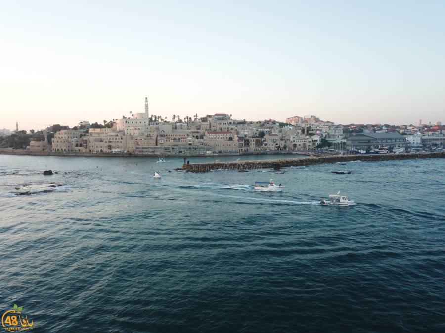 بيان هام من عائلتي حمّاد والقزّاز في يافا